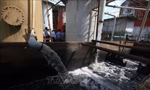 Nước sông ở Hậu Giang bị ô nhiễm do nhà máy đường xả thải