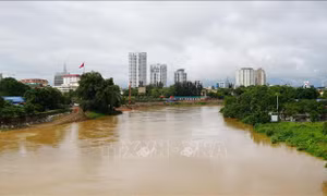 Quân đội chủ động ứng phó với mưa lớn, lũ quét, sạt lở đất