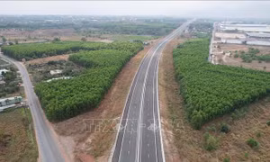 Lùi thời gian thông xe hơn 18km cao tốc Biên Hòa - Vũng Tàu sang tháng 4