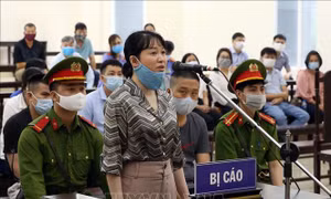 Xét xử vụ Công ty Nhật Cường: Các bị cáo thừa nhận hành vi phạm tội