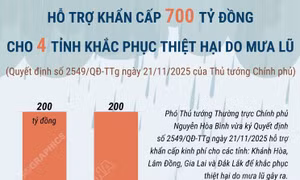 Hỗ trợ khẩn cấp 700 tỷ đồng khắc phục thiệt hại do mưa lũ