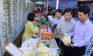 Ngày hội nông sản an toàn ở Ninh Bình