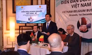 Bộ Công Thương sẵn sàng hỗ trợ cộng đồng doanh nghiệp Việt - Bỉ hợp tác hiệu quả