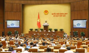 Quy định cụ thể điều kiện tổ chức tự vệ trong doanh nghiệp