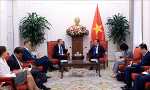 Triển khai hiệu quả khuôn khổ Đối tác chiến lược toàn diện Việt Nam - Pháp