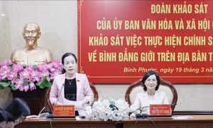Bình Phước: Đẩy mạnh thực hiện chính sách, pháp luật về bình đẳng giới