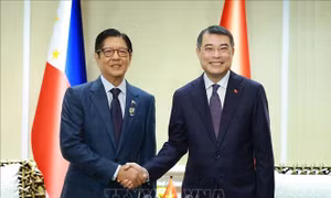 Thủ tướng Lê Minh Hưng gặp Tổng thống Philippines