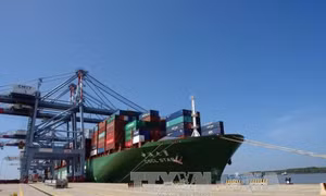 Bà Rịa - Vũng Tàu có thêm 1 cảng tiếp nhận tàu container 160.000 tấn 