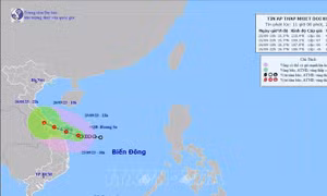 Áp thấp nhiệt đới cách Quảng Ngãi khoảng 180km