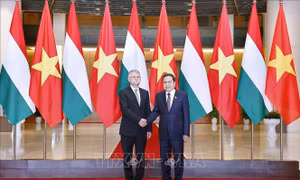 Việt Nam - Hungary thúc đẩy tăng cường tin cậy chính trị, mở rộng hợp tác song phương