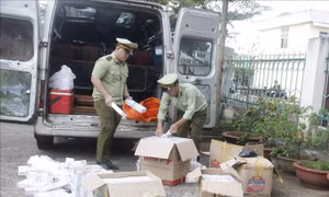 Tạm giữ ô tô vận chuyển 2.500 bao thuốc lá điếu ngoại nhập