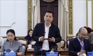Kiều bào hiến kế chuyển đổi xanh - số