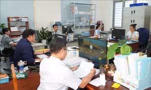 UBND cấp tỉnh xác định tổng số lượng cấp phó của cơ quan, tổ chức, đơn vị thuộc phạm vi quản lý