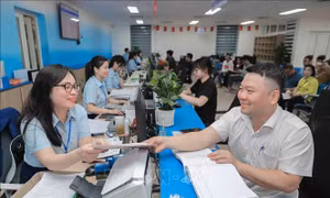 Cắt giảm, đơn giản hóa thủ tục hành chính dựa trên dữ liệu, chuyển đổi số
