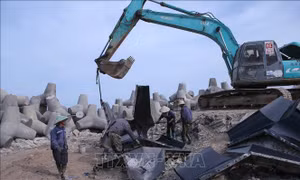 Đẩy nhanh tiến độ xây dựng kè bảo vệ Khu du lịch biển Thịnh Long