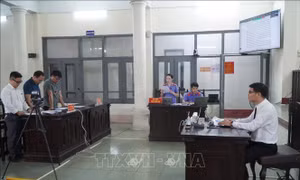Xét xử vụ án dân sự công ích đầu tiên tại Quảng Ninh