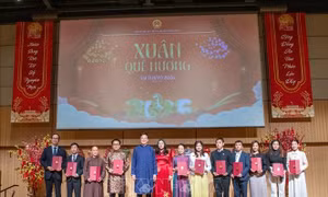 Tết cộng đồng 'Xuân quê hương 2026' tại Nhật Bản