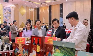 Thẩm định, phân hạng sản phẩm OCOP