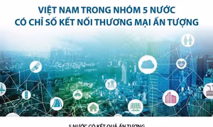 Việt Nam trong nhóm 5 nước có chỉ số kết nối thương mại ấn tượng