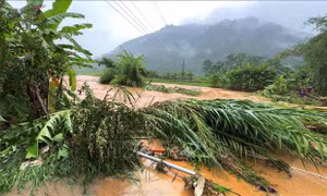 Thủ tướng yêu cầu chủ động ứng phó nguy cơ mưa lớn, lũ ống, lũ quét, sạt lở đất 