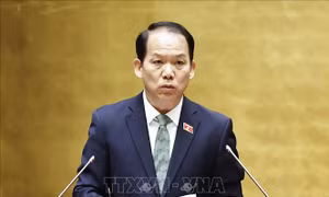 Quy định cụ thể việc tự nguyện đóng góp, hỗ trợ kinh phí chuyển giao người đang chấp hành án phạt tù