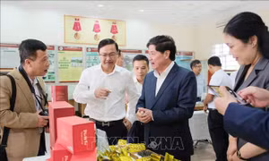 Kết nối sản xuất và tiêu thụ chè chất lượng cao
