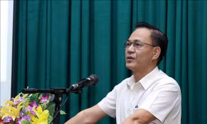 Hỗ trợ các hợp tác xã tiếp cận nguồn vốn vay hiệu quả