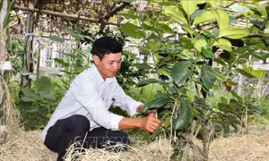 Khu dân cư nông thôn mới kiểu mẫu ở địa bàn vùng giáo tỉnh Hà Tĩnh