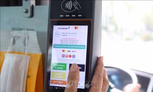 Khuyến khích xác thực khi đi xe buýt miễn phí nhằm minh bạch quản lý