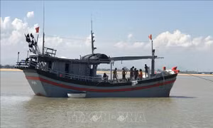  Phú Yên kêu gọi tàu thuyền tìm nơi tránh trú, thu hoạch nhanh lúa Hè Thu