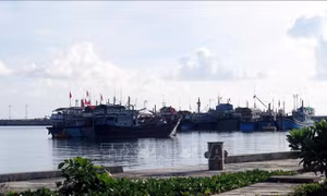 Âu tàu - điểm tựa vững chắc cho ngư dân vươn khơi bám biển