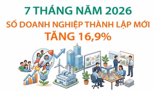 7 tháng năm 2026: Số doanh nghiệp thành lập mới tăng 16,9%