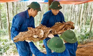 Hành trình tri ân chạm đến trái tim- Bài 1: Cuộc hành quân chưa kết thúc 