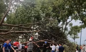 Chủ động ứng phó dông, lốc, sét, mưa đá trong thời kỳ chuyển mùa