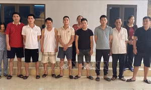 Tuyên Quang: Khởi tố 14 đối tượng tổ chức đánh bạc và đánh bạc