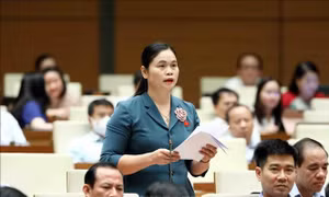 Quốc hội thảo luận về dự án Luật Thanh tra (sửa đổi)