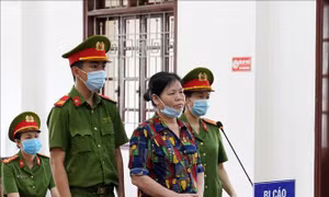 Hai mẹ con lĩnh án 16 năm tù về tội chống phá Nhà nước
