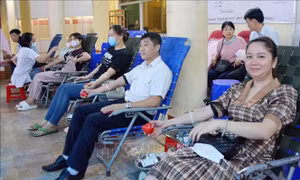 Chương trình Hành trình đỏ tại tỉnh Đắk Lắk tiếp nhận 806 đơn vị máu