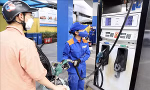 Cục Thuế triển khai giảm thuế xăng dầu theo Quyết định của Thủ tướng
