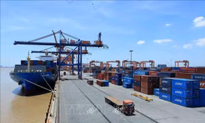Vinalines lùi thời gian tổ chức đại hội cổ đông vào phút chót