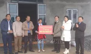 Xuân về bên những ngôi nhà Đại đoàn kết