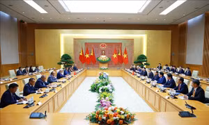 Mở rộng hơn nữa hợp tác giữa Việt Nam và Timor-Leste 