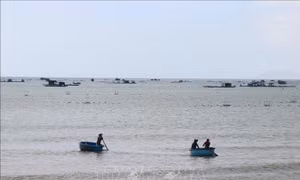 Khánh Hòa quy hoạch vùng nuôi biển công nghiệp