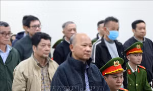 Vụ sai phạm tại tỉnh Bình Thuận: Không buộc các bị cáo phải khắc phục hậu quả vụ án