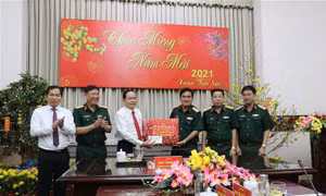 Đồng chí Trần Thanh Mẫn thăm, chúc Tết Bộ Tư lệnh Quân khu 9