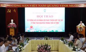 Hiện thực hóa tư tưởng Hồ Chí Minh bằng những mô hình hợp tác xã phát triển hiệu quả