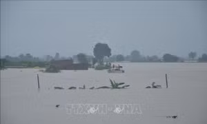 Gia Lai kịp thời hỗ trợ, di dời người dân vùng ngập lụt 