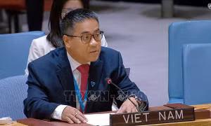 Việt Nam thúc đẩy nâng cao hiệu quả hoạt động của HĐBA LHQ