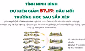 Tỉnh Ninh Bình dự kiến giảm 57,1% đầu mối trường học sau sắp xếp