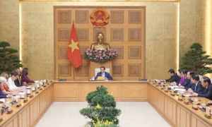 Thủ tướng tiếp tiếp Điều phối viên Thường trú và các Trưởng đại diện các tổ chức LHQ Việt Nam